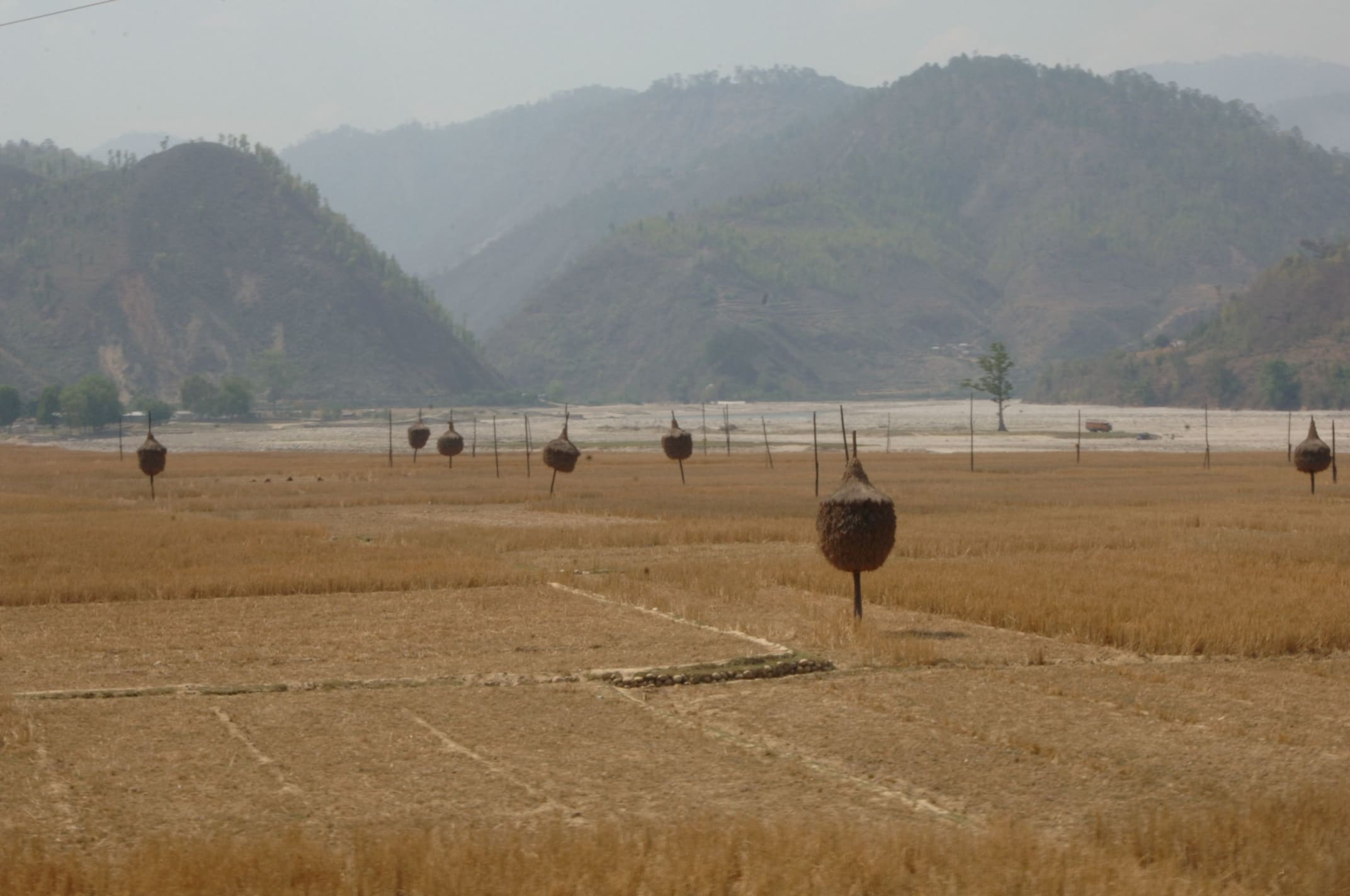 Farmed fields with harvested crops in Nepal