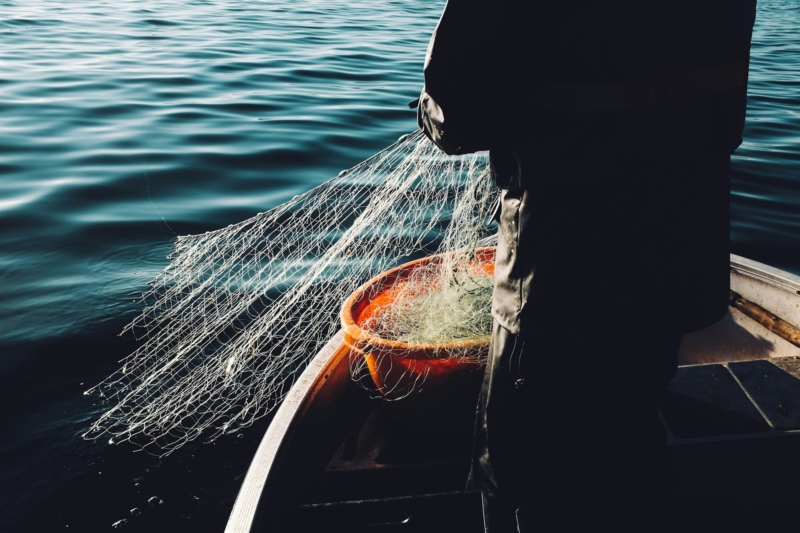 A person stands in a small boat with their back to the camera. They are holding a small net which is draped into the water.