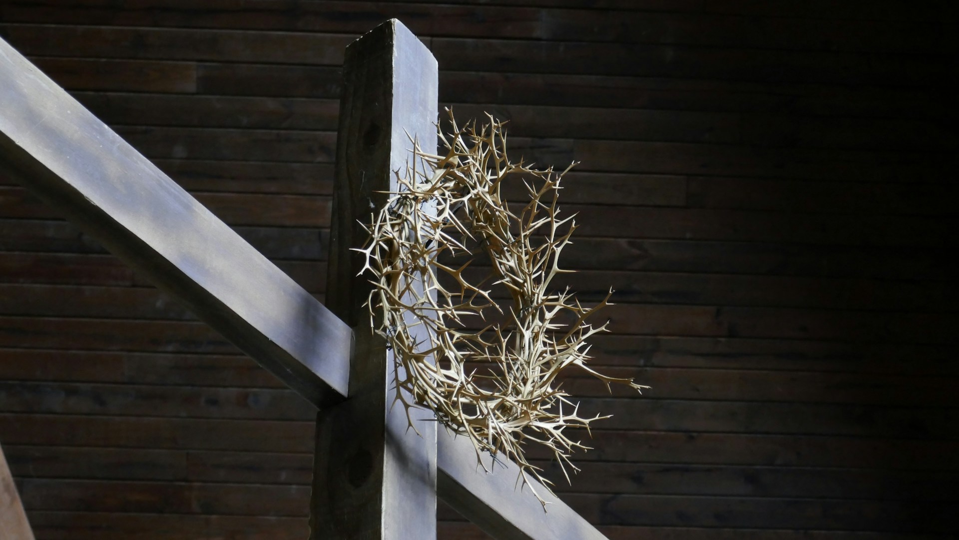 A crown of thorns pinned to a cross.
