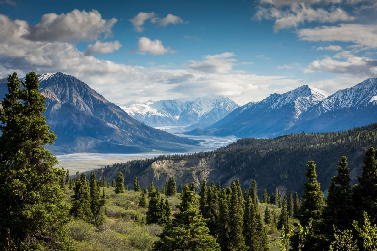 A view of a valley with snow capped mountains in the distance and pine trees in the foreground.